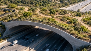 10 şeritli otoyolun üzerine dev köprü inşa edildi: Ne araçlar ne de insanlar kullanacak