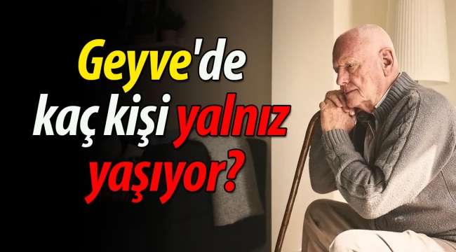 Geyve'de kaç kişi yalnız yaşıyor?