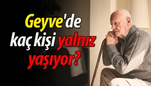 Geyve'de kaç kişi yalnız yaşıyor?