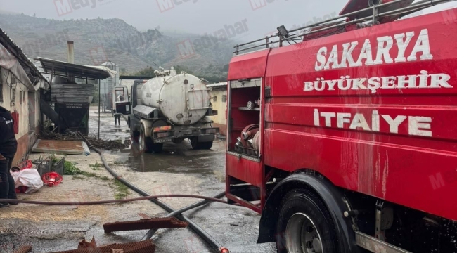 Geyve'de tavuk çiftliği yandı! 