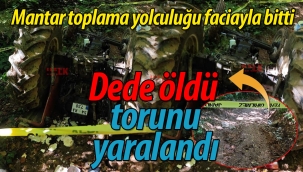 Mantar toplama yolculuğu faciayla bitti: Dede öldü, torunu yaralandı