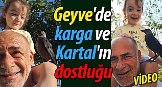 Geyve'de karga ve Kartal'ın dostluğu
